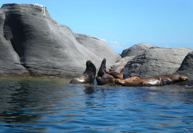 Baja California - Foto 13