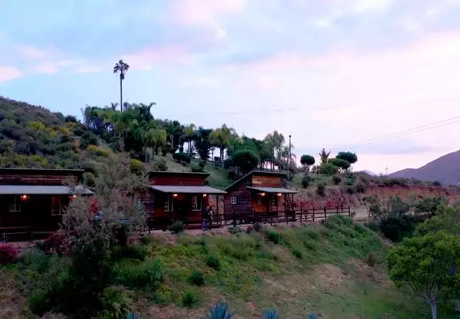 Baja California - Foto 14