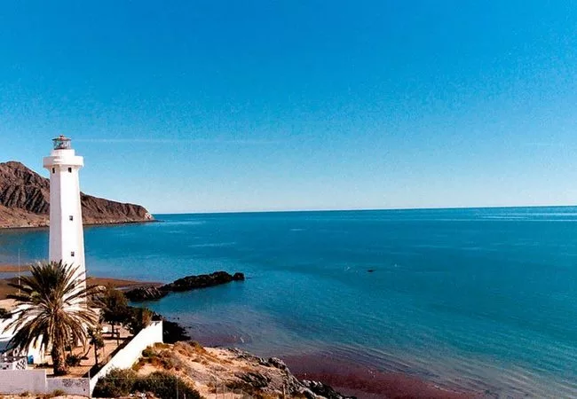 Baja California - Foto 23