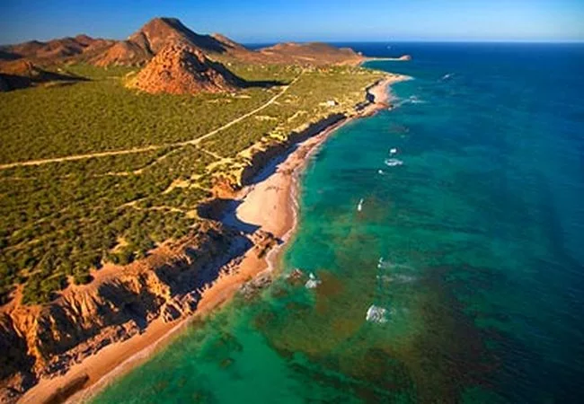 Baja California Sur - Foto 15