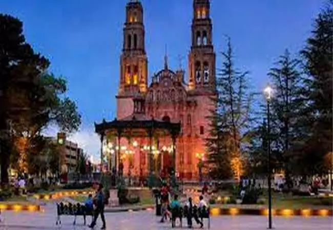 Chihuahua - Foto 11