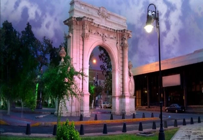 Chihuahua - Foto 14