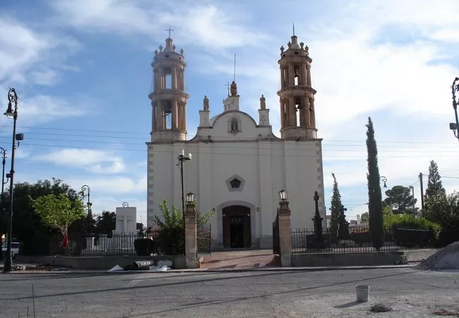 Chihuahua - Foto 21