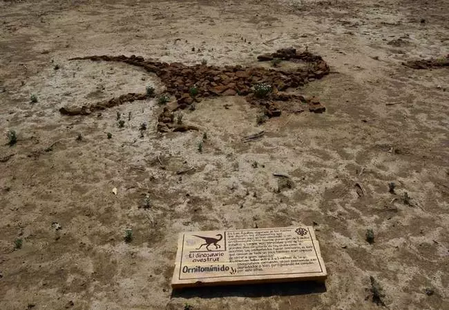Coahuila - Foto 21