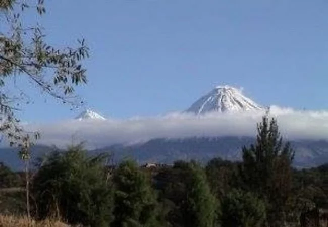 Colima - Foto 18