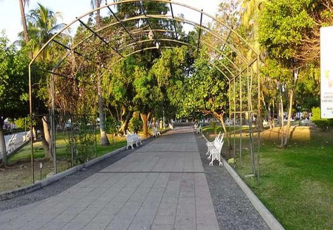 Colima - Foto 6