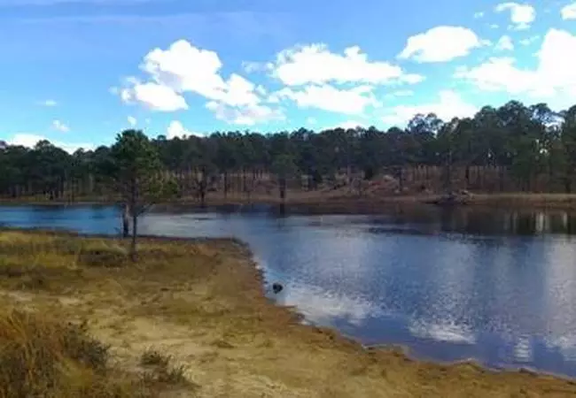 Durango - Foto 13