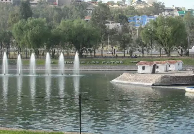 Durango - Foto 14