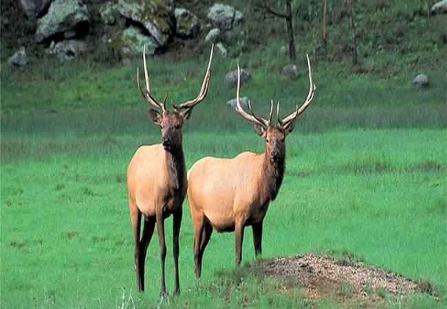 Durango - Foto 20