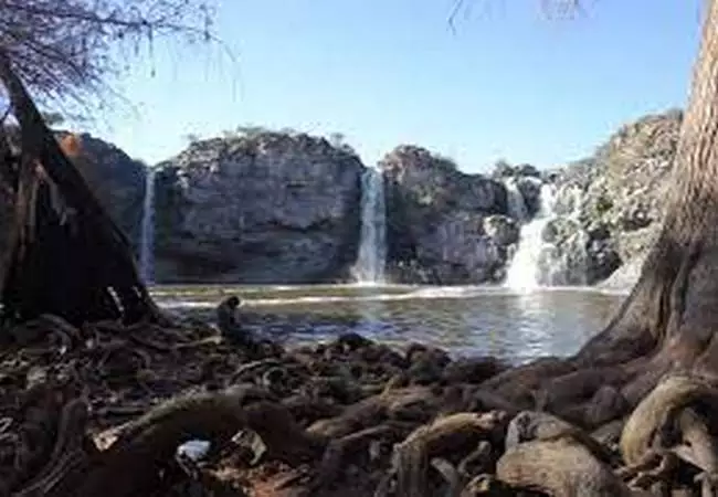 Durango - Foto 8