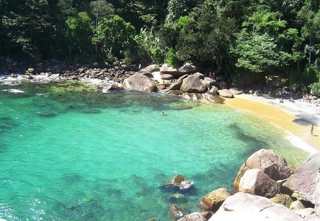 Jalisco - Foto 10