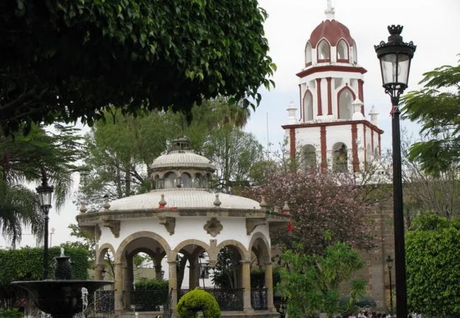 Jalisco - Foto 12