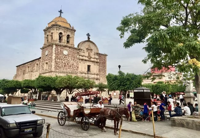 Jalisco - Foto 15