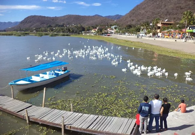 Jalisco - Foto 19