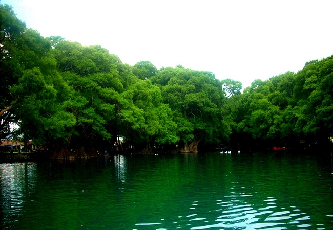 Michoacán - Foto 19