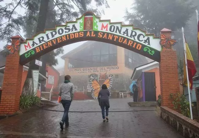 Michoacán - Foto 23
