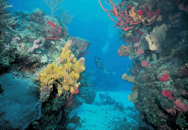 Quintana Roo - Foto 1