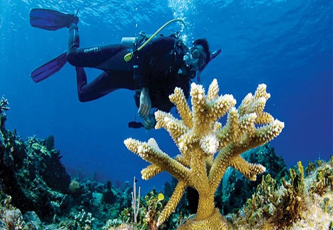 Quintana Roo - Foto 20