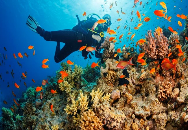 Quintana Roo - Foto 3