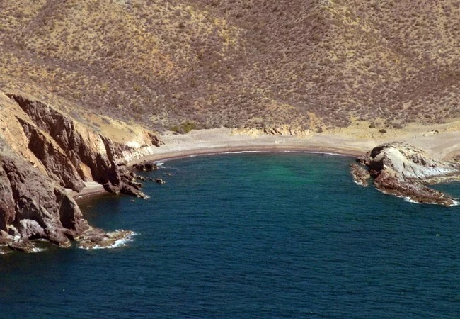 Sonora - Foto 12