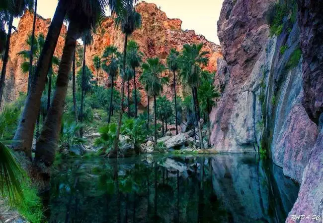 Sonora - Foto 24