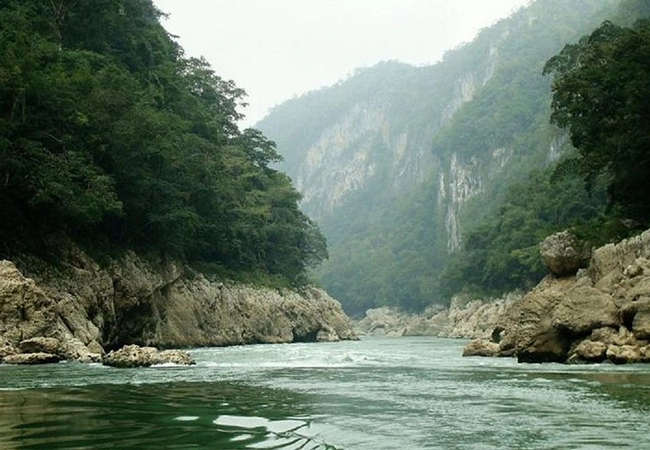 Tabasco - Foto 11