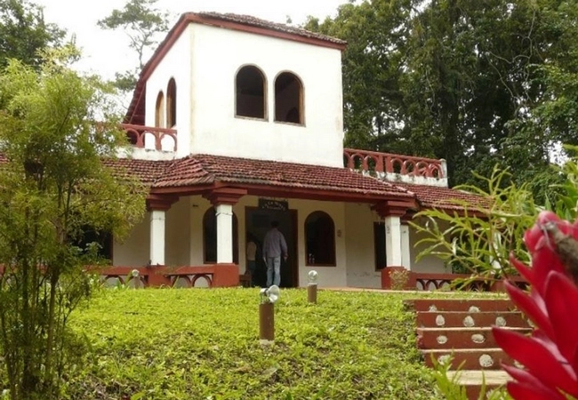 Tabasco - Foto 19