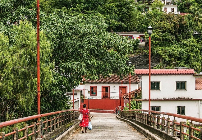 Tabasco - Foto 22
