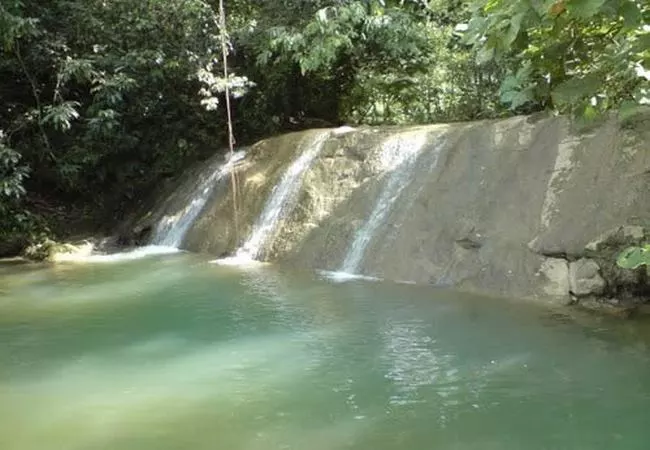 Tabasco - Foto 24