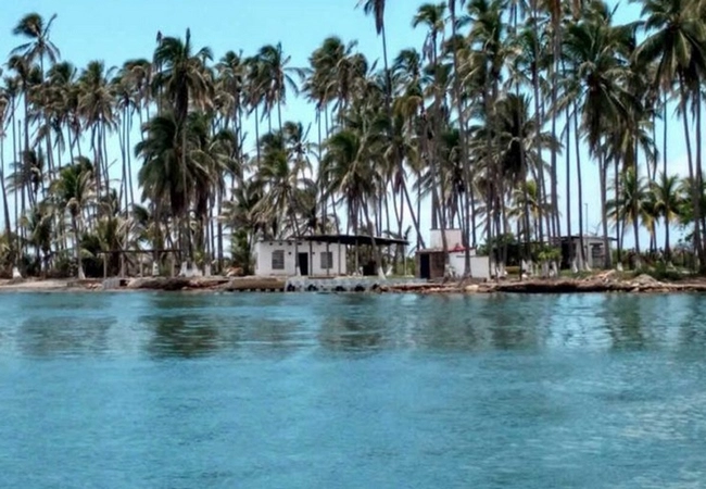 Tabasco - Foto 7