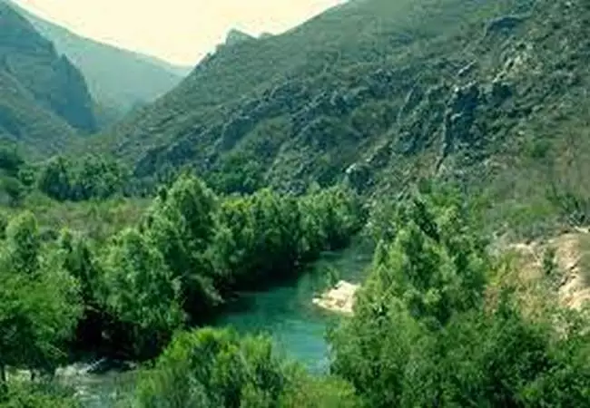 Tamaulipas - Foto 16