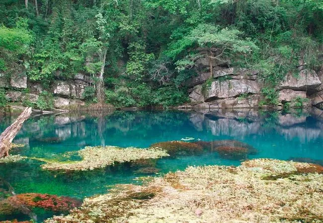 Tamaulipas - Foto 18