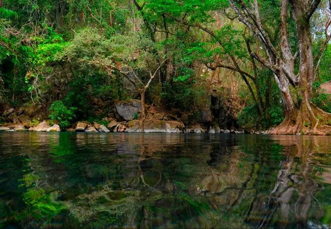 Tamaulipas - Foto 19