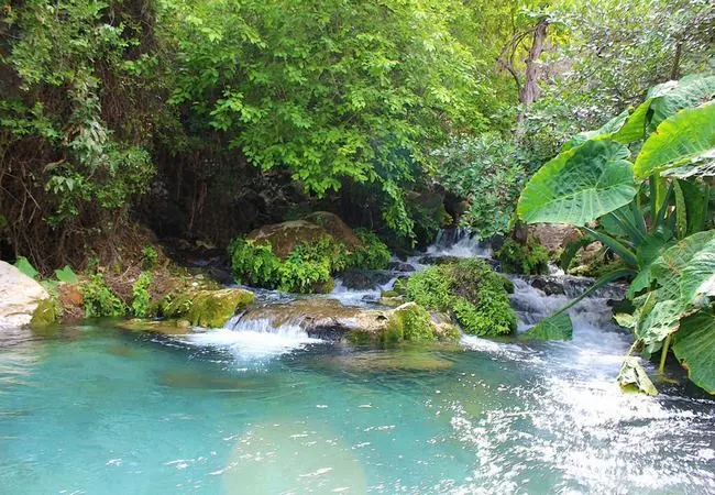 Tamaulipas - Foto 21