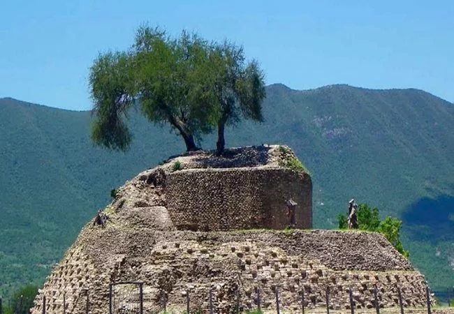 Tamaulipas - Foto 5