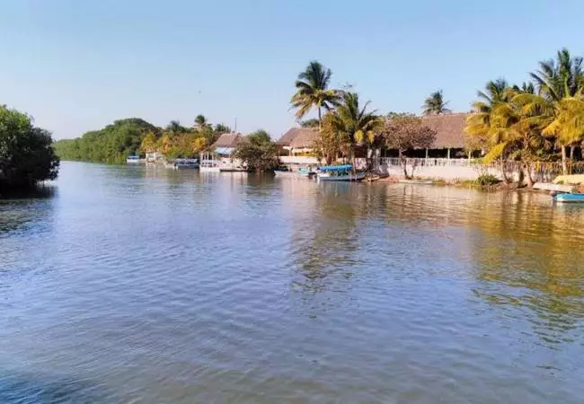 Veracruz - Foto 6